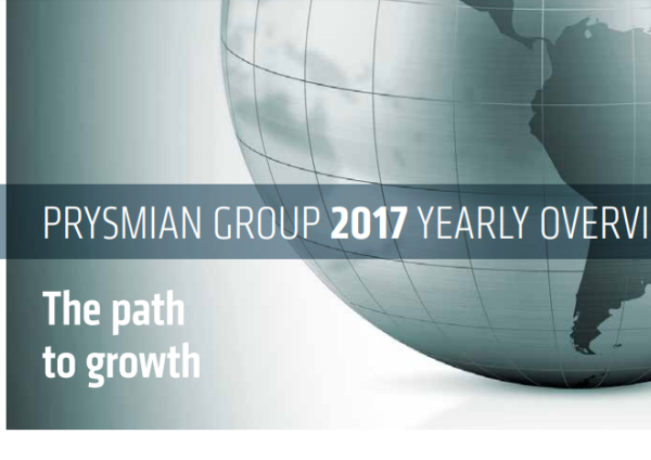  2017 YEARLY OVERVIEW - THE PATH TO GROWTH