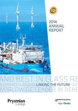 Raport Anual 2014 - Interactiv