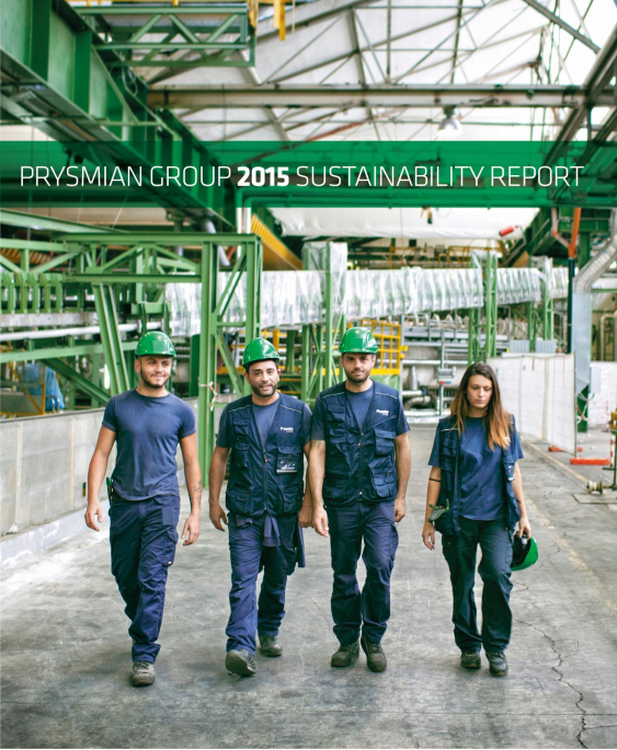 Raport de sustenabilitate 2015