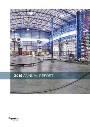 Raport Anual 2016